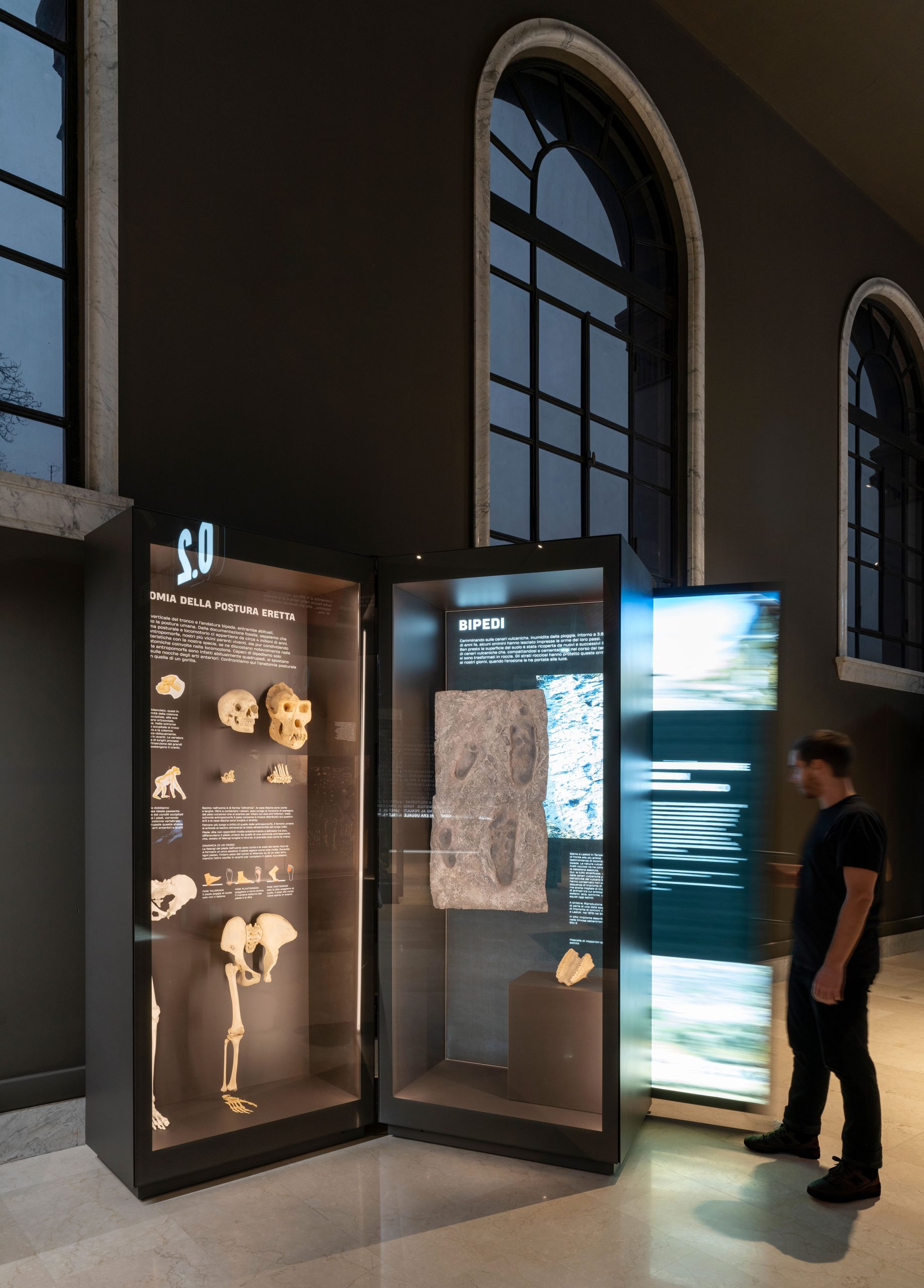 Natural History Museum of Milan - Architetti associati Migliore ...