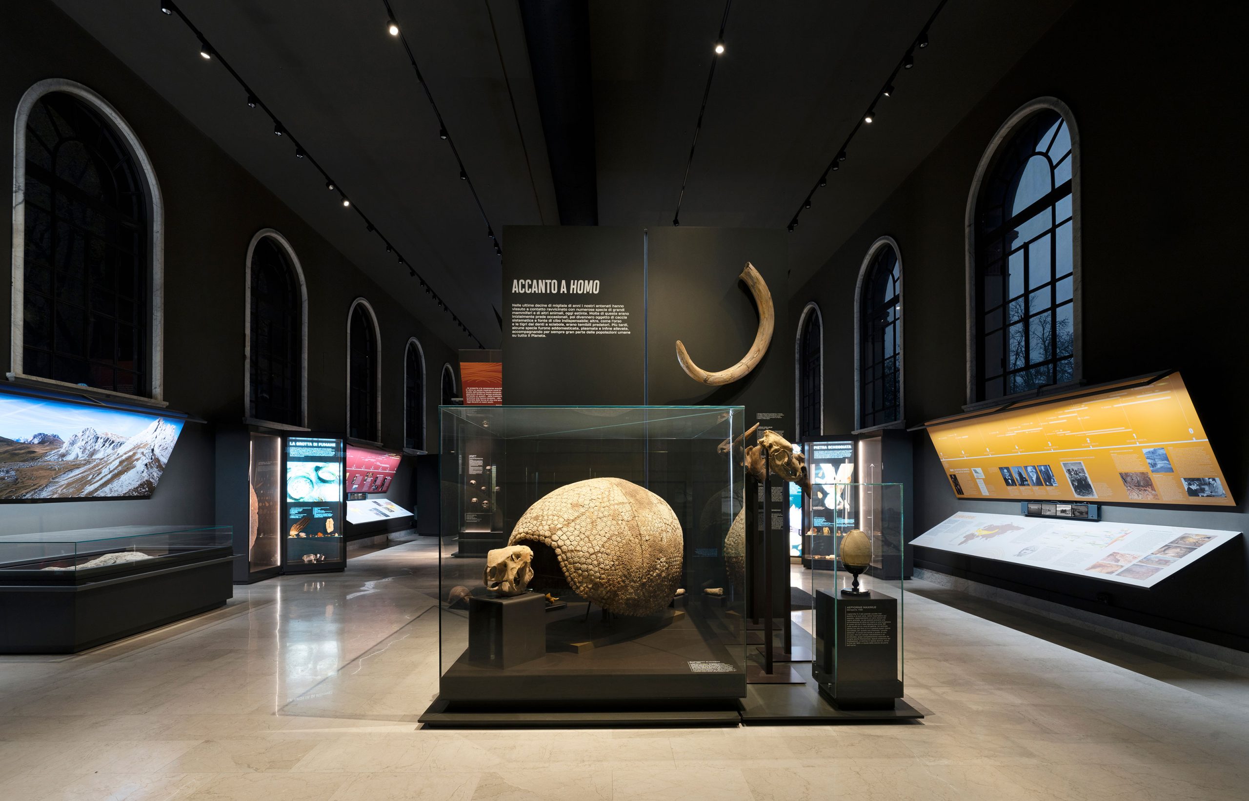 Natural History Museum of Milan