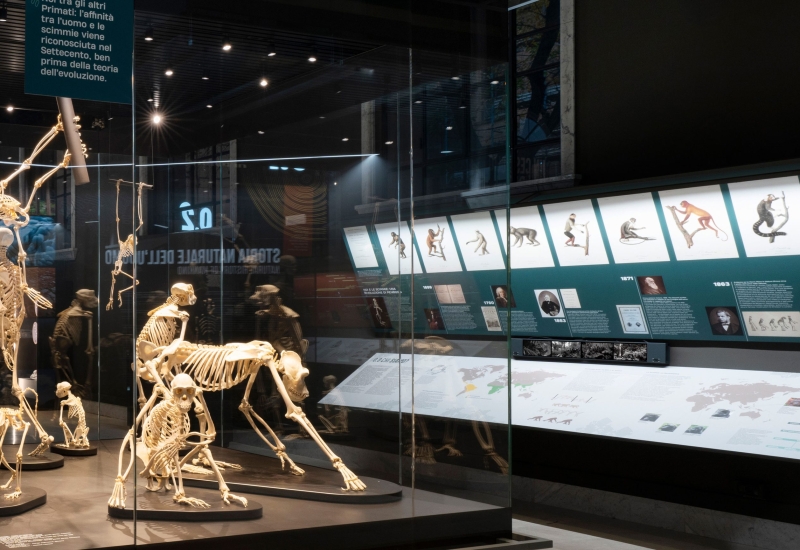 Natural History Museum of Milan