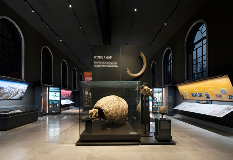 Natural History Museum of Milan